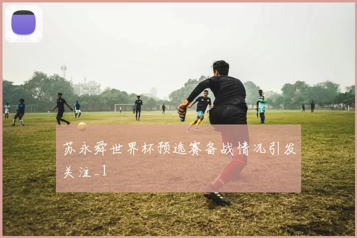 苏永舜世界杯预选赛备战情况引发关注_1