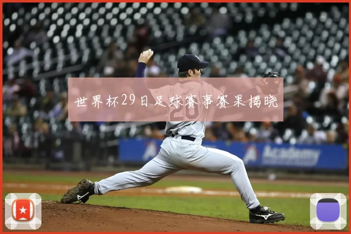 世界杯29日足球赛事赛果揭晓