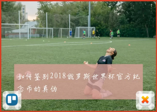 如何鉴别2018俄罗斯世界杯官方纪念币的真伪