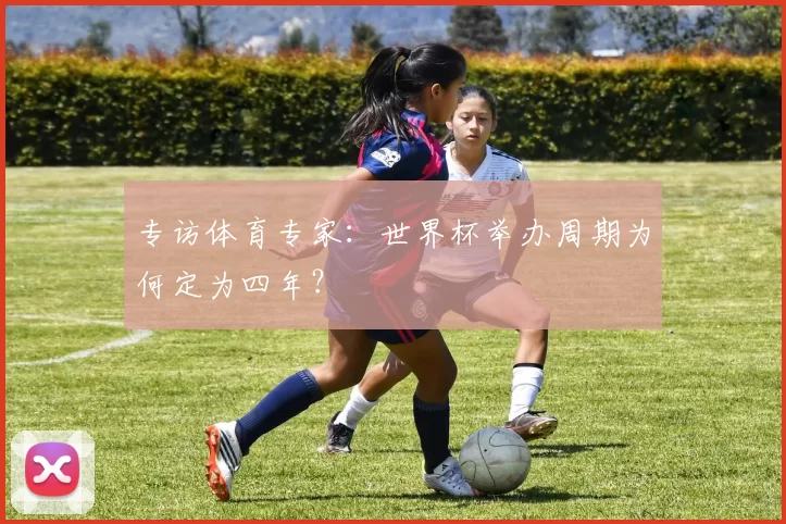 专访体育专家:世界杯举办周期为何定为四年?