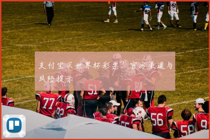 支付宝买世界杯彩票?官方渠道与风险提示